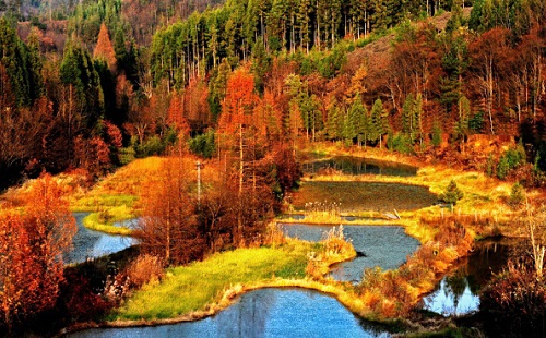 中国秋色最美的五个地方,邂逅国内各地绝美秋色