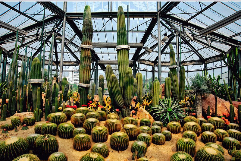 谁还敢说萝岗最偏远？17万萝岗人最期待年底这件事