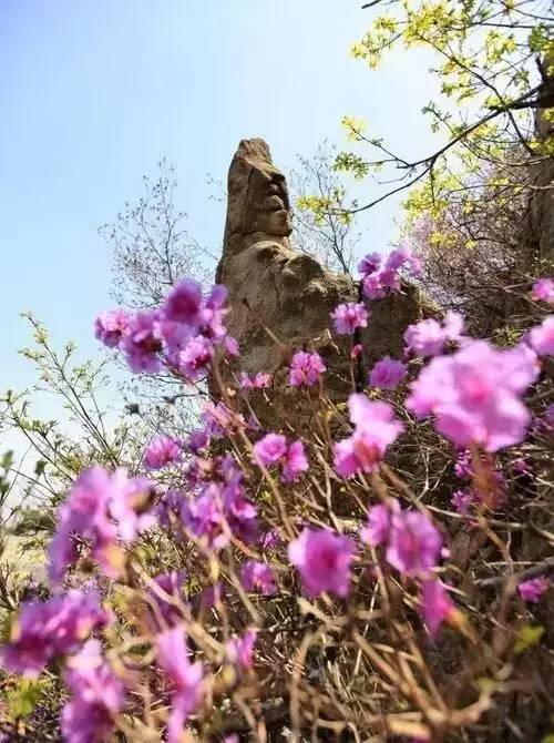 秋高气爽正当时,蓬莱艾山景区