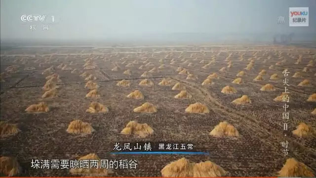 怎么煮米饭满屋香,如何煲一锅美味香甜的米饭