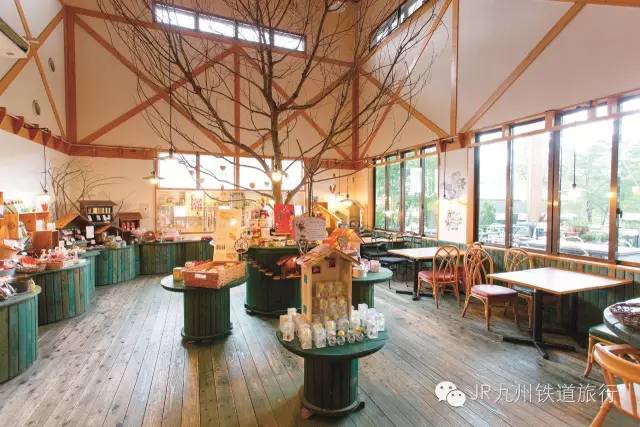 日本女人在中国哪个城市最多,日本女人最多的城市