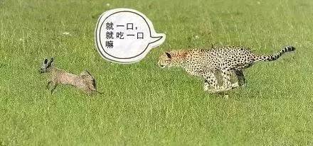 blow短语用法,blow单词用法