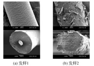 头发为什么会分叉断裂,头发为啥会分叉干枯