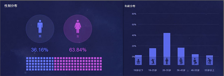 唯品会app分析报告,唯品会首页分析