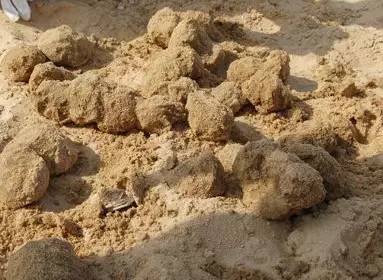 沙漠玫瑰石|放你走还是让你留