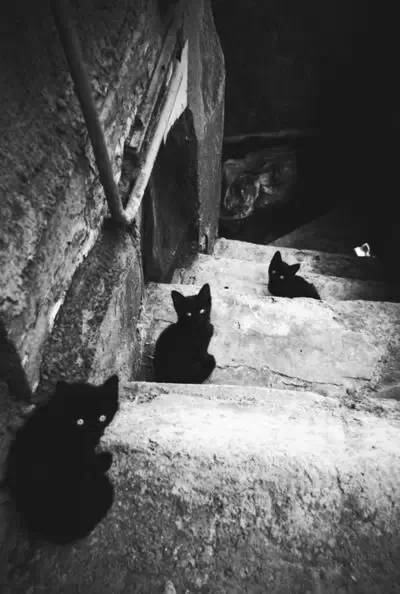 榛戝柕杩囩▼閲嶈杩樻槸缁撴灉閲嶈,榛戝柕浠ュ悗杩橀渶涓嶉渶瑕侀伩瀚屼簡