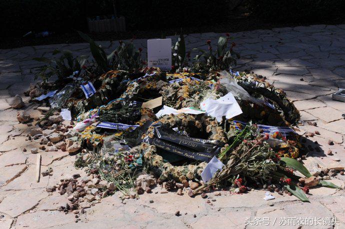 我的应许之地以色列的荣耀与悲情 (我的应许之地以色列的悲情与荣耀)