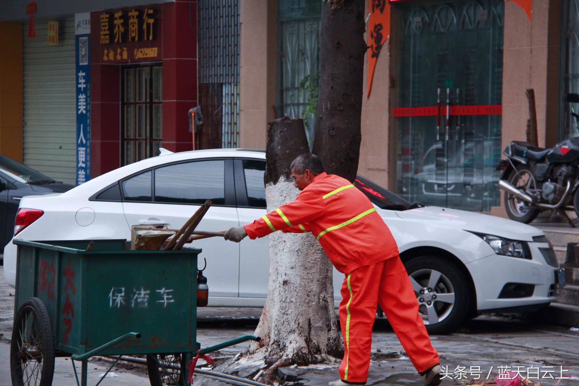 冬日里的黄玫瑰环卫工人,城市黄玫瑰环卫工人