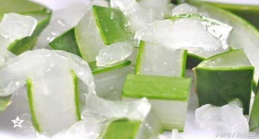 芦荟胶可以防晒吗,芦荟胶可防晒吗