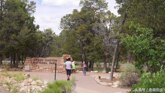 在美国旅游日常,在美国旅游攻略大全最新