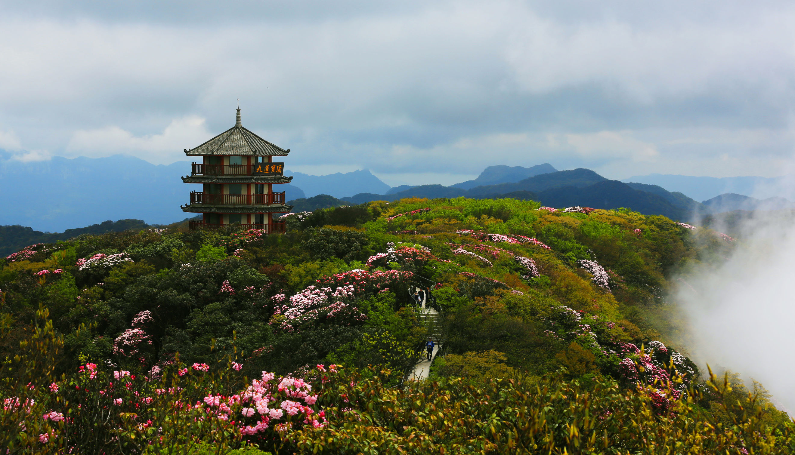 金佛山一日游从哪个门进好点,金佛山旅游攻略二天一夜