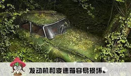 车是拿来用的不是拿来供着的,买了车必要花费