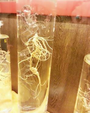 教你几种服用人参的方法,人参皂苷的正确服用方法