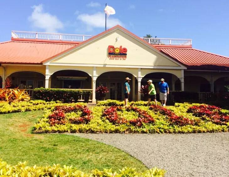 夏威夷旅行地,最全的夏威夷旅游攻略快来看这里