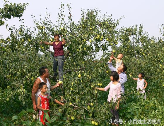 农村的十种最赚钱的小生意,农村致富的10个门路