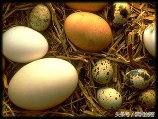 村姑发飙,村姑骂老太婆