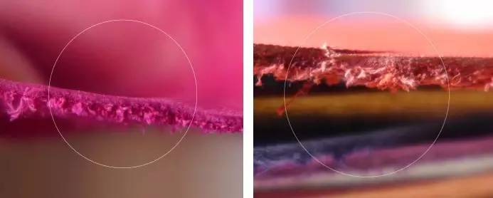 认识和识别质量问题,认识真假物品