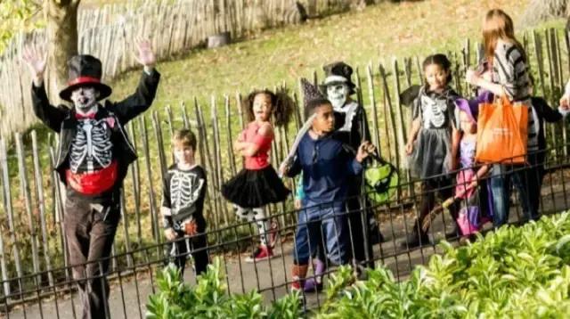 日本万圣节活动,日本涩谷万圣节活动