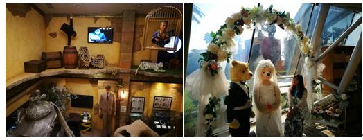 韩国美女第四次来首尔自由行,一个人韩国济州岛旅游