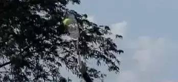 纳达尔费德勒上旋对比,纳达尔上旋对费德勒反手