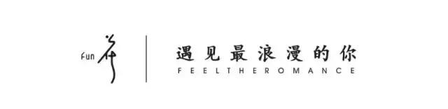 温莎公爵为什么不当国王,温莎公爵长什么样