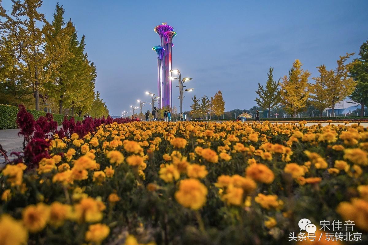 世界最大三塔连体建筑,全世界最大的三塔连体建筑