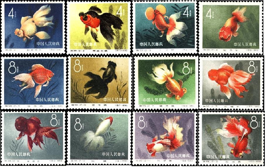 集邮爱好者乐趣在哪,集邮爱好者的点滴