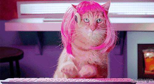 淘宝双11活动满减怎么操作,双十一怎么在淘宝上购物