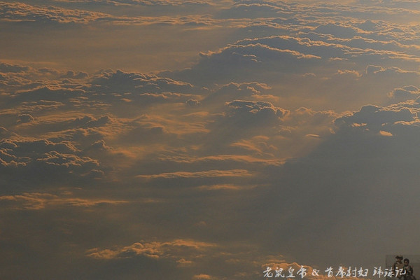 太平洋小小岛国帕劳貌似已被中国人全面占领