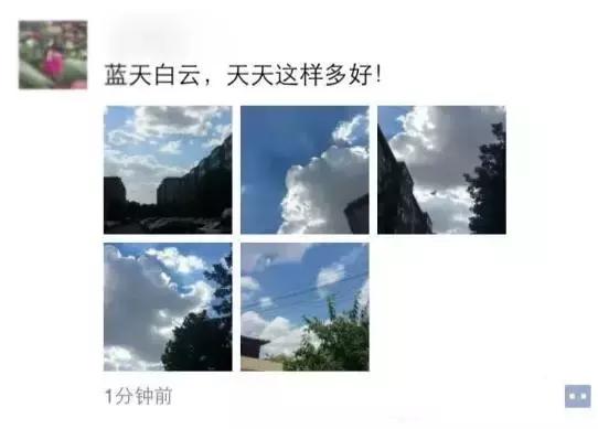 今天的蓝天已经被天津人玩坏,据说这都是它闹的