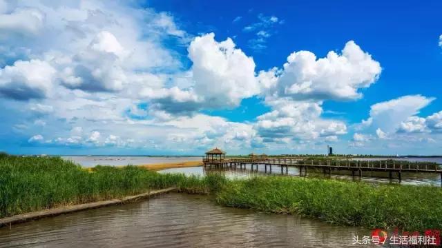 什么能够代表哈尔滨,哈尔滨代表人