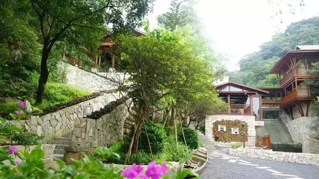 这就是2020年的清新，厉害了我的家乡！