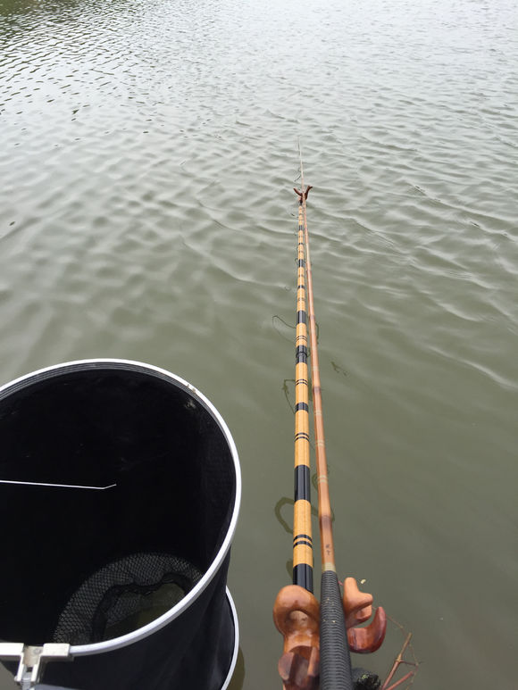 新手钓鱼，用2000的竿子，值不值？