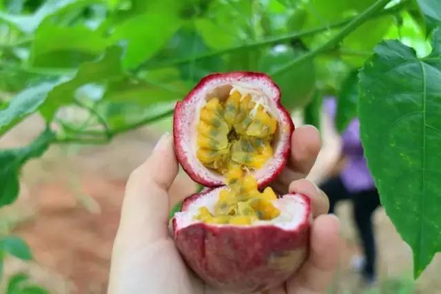 港南区哪里好玩,港南市哪里好玩