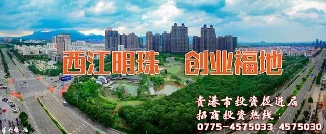 港南区哪里好玩,港南市哪里好玩