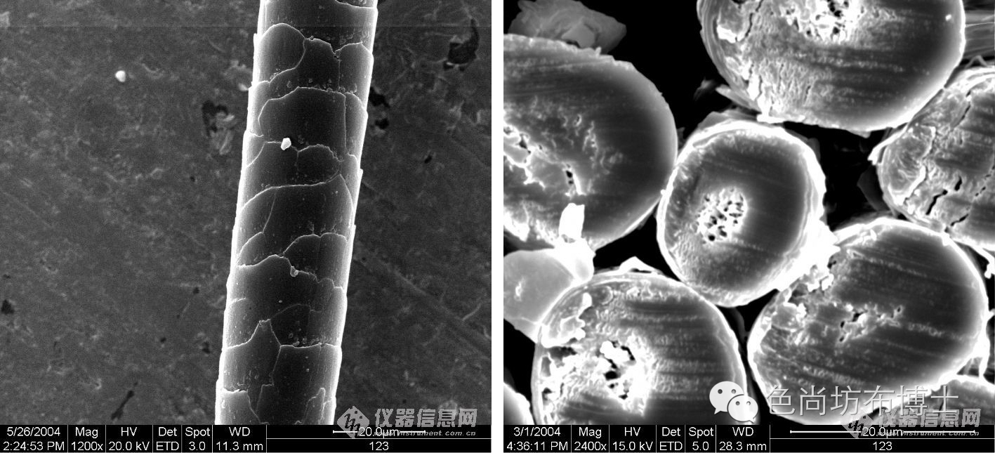 怎样判断面料是不是马海毛,马海毛是什么颜色的毛
