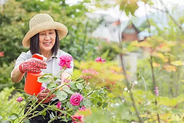 为啥老人又蠢又固执,怎么让老人不再迷信