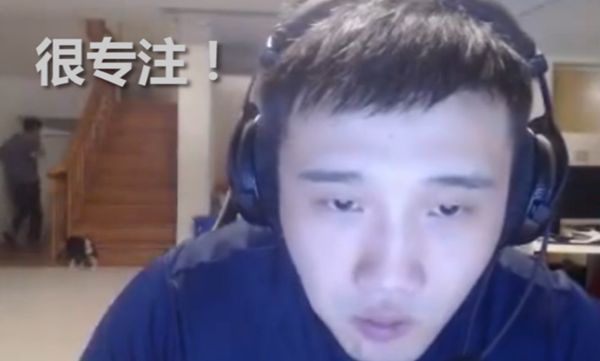 竞报：骚猪在美国开播看个日出都有百万观众！