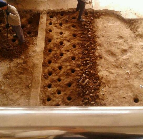 盗墓到底是如何进行的,盗墓为什么这么厉害