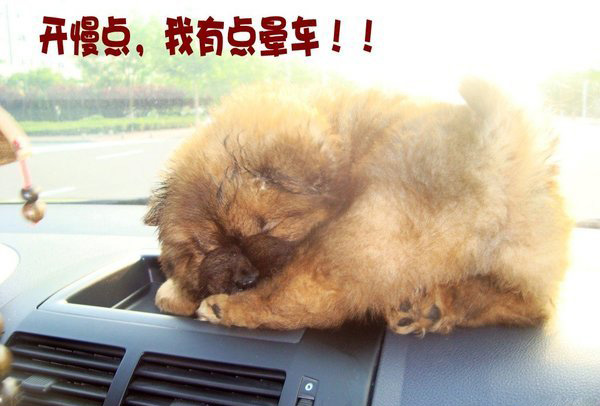 超全面防晕车攻略,坐大巴防晕车小妙招