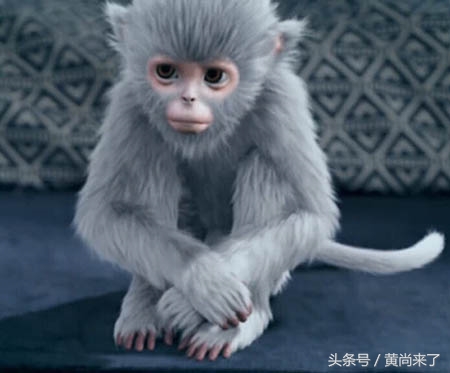 昨夜都有谁在蹲守追《青云志》?