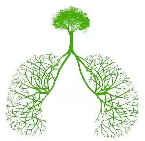 吐出的痰是什么物质,痰是怎么从嘴里吐出来的