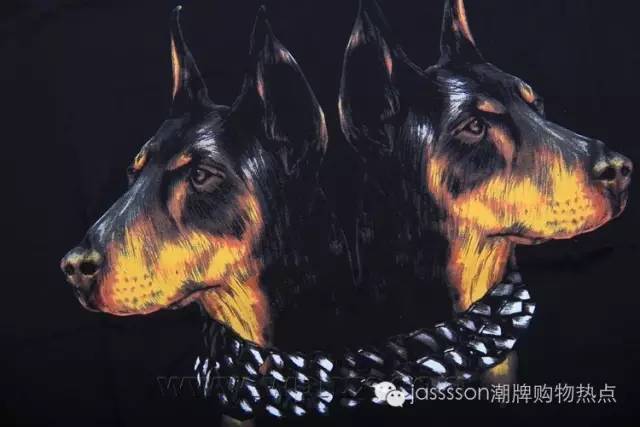 时尚界的动物元素,动物进化论