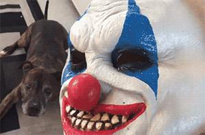 鑰佹箍瑙ｈ灏戞灄瓒崇悆,鑰佹箍瑙ｈ瓒崇悆鎼炵瑧瑙嗛