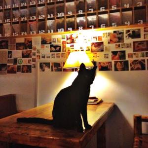 西安浪漫圣地,西安及周边情侣十大必去之地