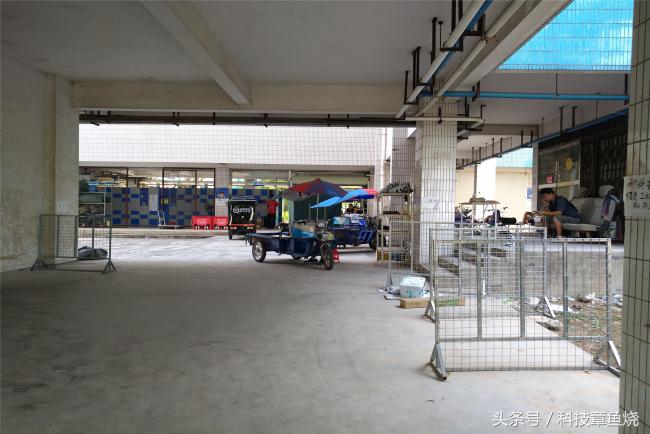 华为nova青春版关晓彤,华为nova12ultra与关晓彤