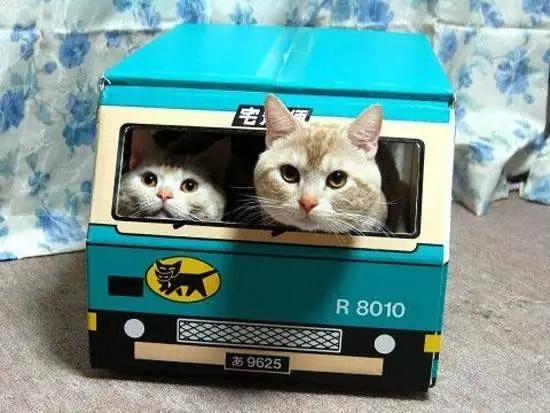 日本快递快吗,日本超规格快递