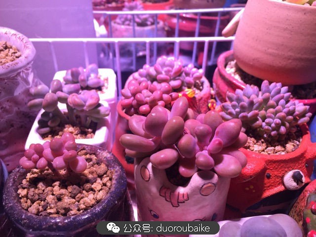 谈谈我的看法和感想,谈谈我对自己的看法