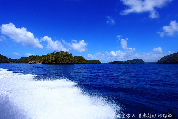 彩虹王国美术作品,彩虹王国紫色