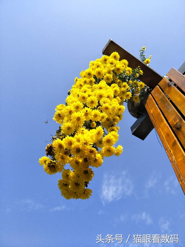 oppor9s的缺点和不足,oppor9s现在值得入手吗